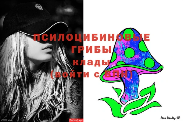 ECSTASY Валдай