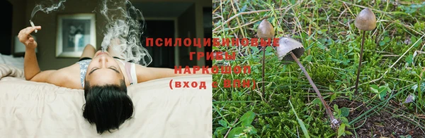 ECSTASY Валдай