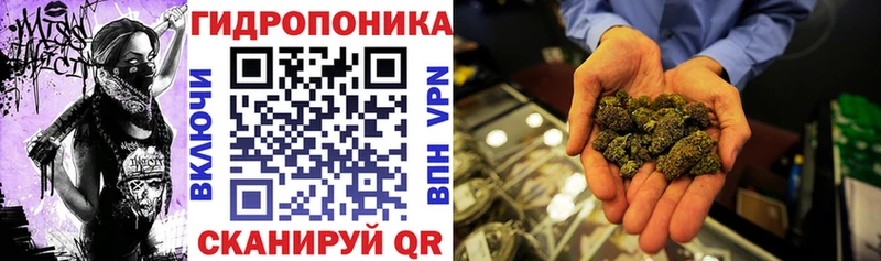Марихуана Amnesia  даркнет официальный сайт  Фокино  блэк спрут маркетплейс 